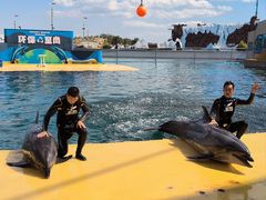 -秦皇岛乐岛海洋王国