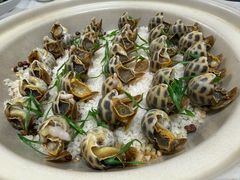 -北塘海鲜·天津菜·鲅鱼水饺是一绝(大光明桥旗舰店)