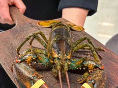 -醉了的船Le Bateau Ivre(温江店)