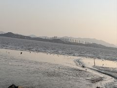 -深圳湾公园(南山区)