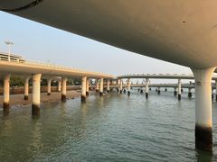 -演武大桥观景平台