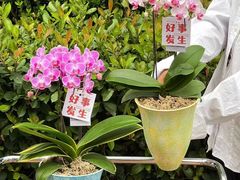 -F.Story 花和故事(新天地店)