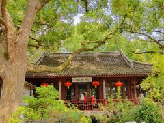 -上海醉白池公园
