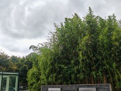 -复旦大学附属华山医院(浦东院区)