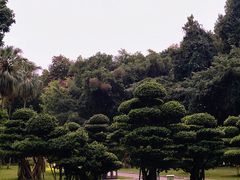 -南宁南湖公园