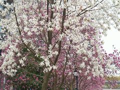 -江南大学(蠡湖校区)