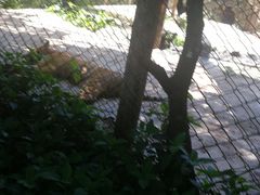 -海南热带野生动植物园