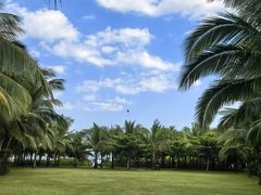 -三亚海棠湾喜来登度假酒店