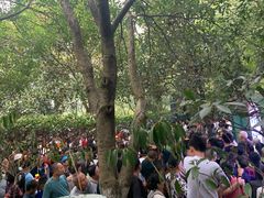 -韶山毛泽东同志故居