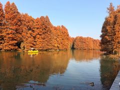 -上海海湾国家森林公园