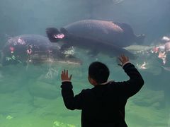 -台州海洋世界