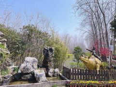 -合肥滨湖国家森林公园