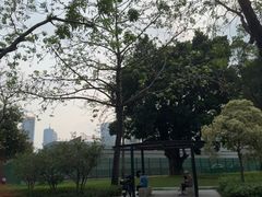 -天河体育中心