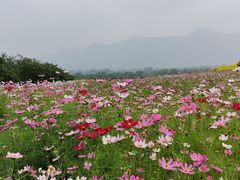 -方庄体育公园