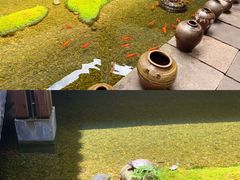 -几荷·恰似故人来(秀水广场店)