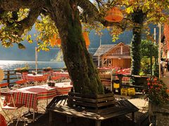 大堂-布劳伽斯特豪夫哈尔施塔特宾馆