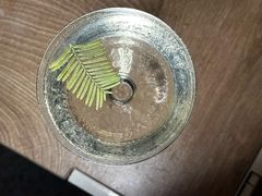 -Shift cocktail bar鸡尾酒吧