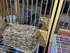 -三旗百汇商品城