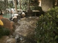 -张家港金凤凰度假村温泉