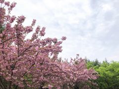 -郑州植物园