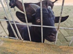 -武汉紫薇都市田园