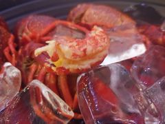 -洪福龙虾