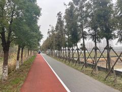 -上海长兴岛郊野公园