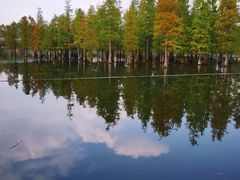 -白鹭湾湿地公园