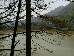 -广州市流溪河国家森林公园