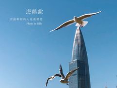 -深圳湾公园(南山区)