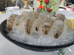 瀨尿蝦刺身-嘉升大排档(番禺总店)