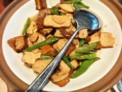 -佬肥猫(七宝宝龙店)