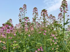 -中国天府农业博览园