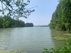 -东湖落雁景区