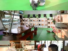 -上海佘山茂御臻品之选酒店(原佘山艾美酒店)