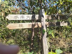 -鬼笑石后山停车场