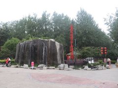 -合肥滨湖国家森林公园