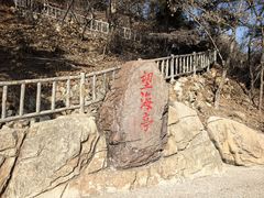 -棒棰岛宾馆景区