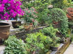 -乖乖佳花园山庄·私房菜(阿哈湖公园店)