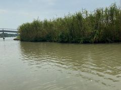 -下渚湖国家湿地公园科普馆