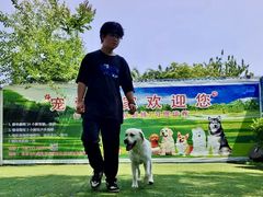 -宠物寄养训练学校