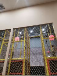 -疯狂的麦咭(长沙店)