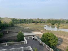 -溱湖国家湿地公园