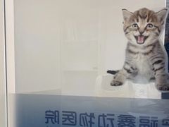 -宠福鑫动物医院(立水桥分院)
