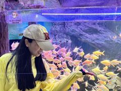 -威海华夏城景区