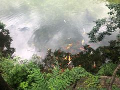 -无染寺