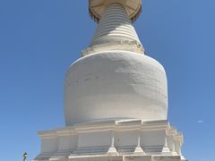 -凉州白塔寺景区