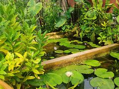 -国家植物园南园