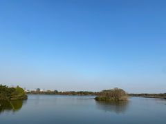 -海珠湖公园
