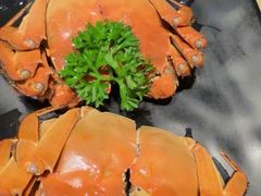 -红蜡烛•瓦罐粥家常菜•夜宵(中山路店)